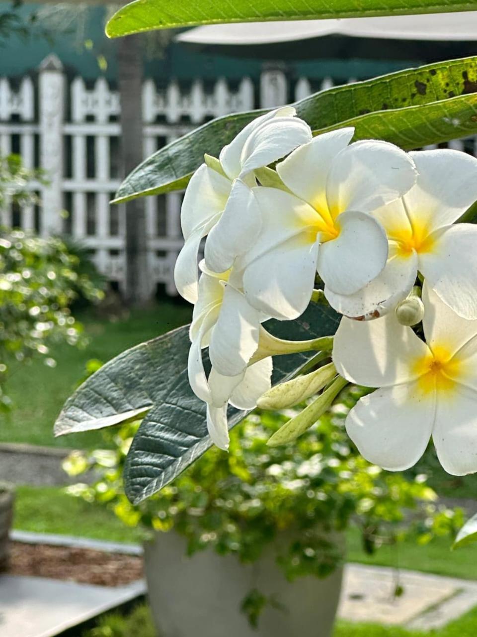Villa Sunny Days Hikkaduwa Luaran gambar